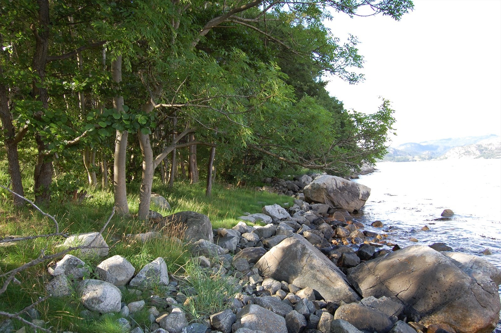 Strandlinje Galleribilde