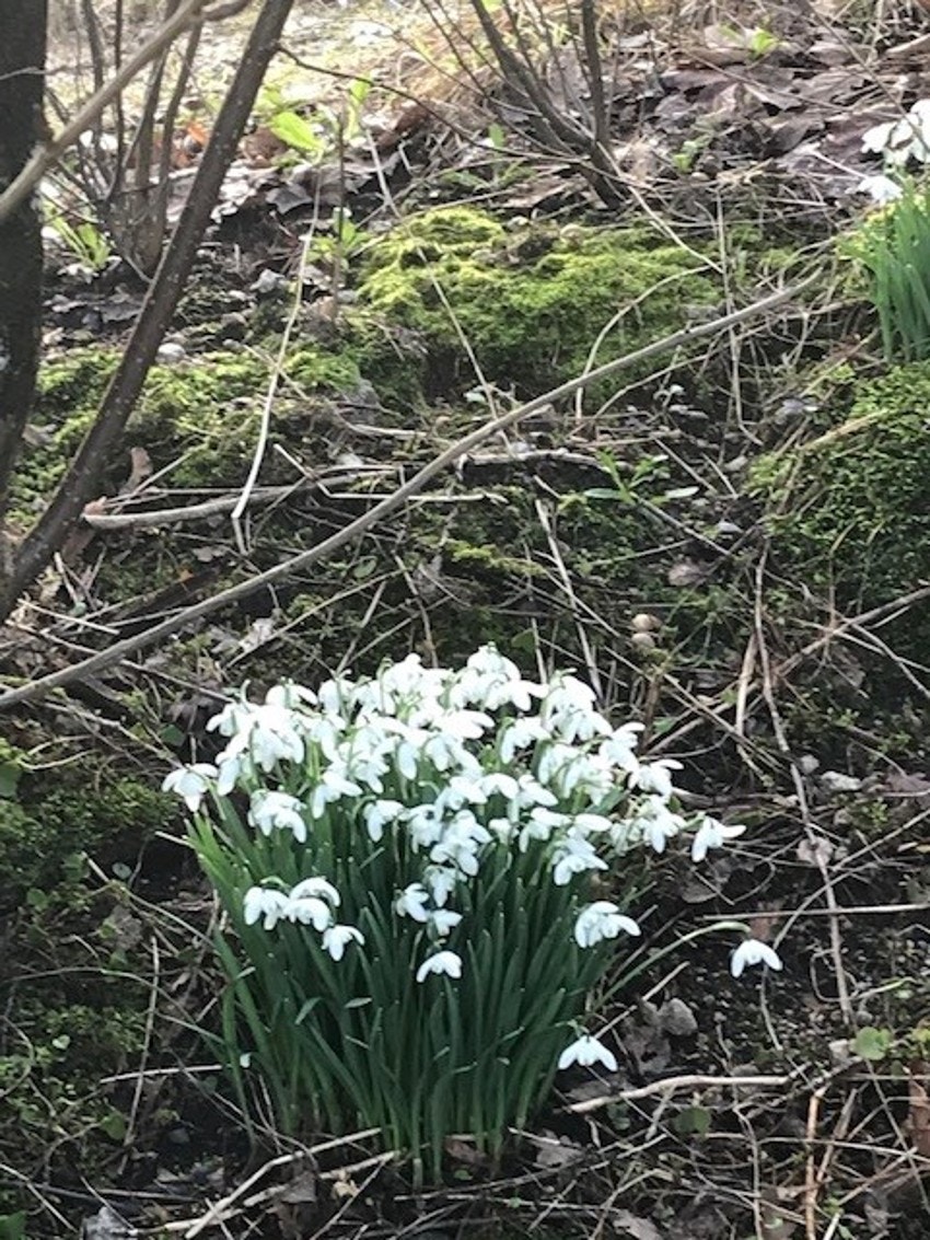 Stemningsbilde fra eier Galleribilde