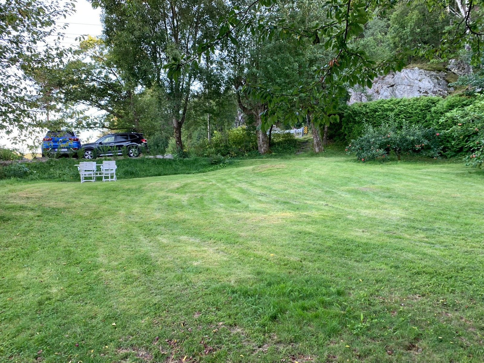 Sommerbilde fra hagen i 2022 Galleribilde