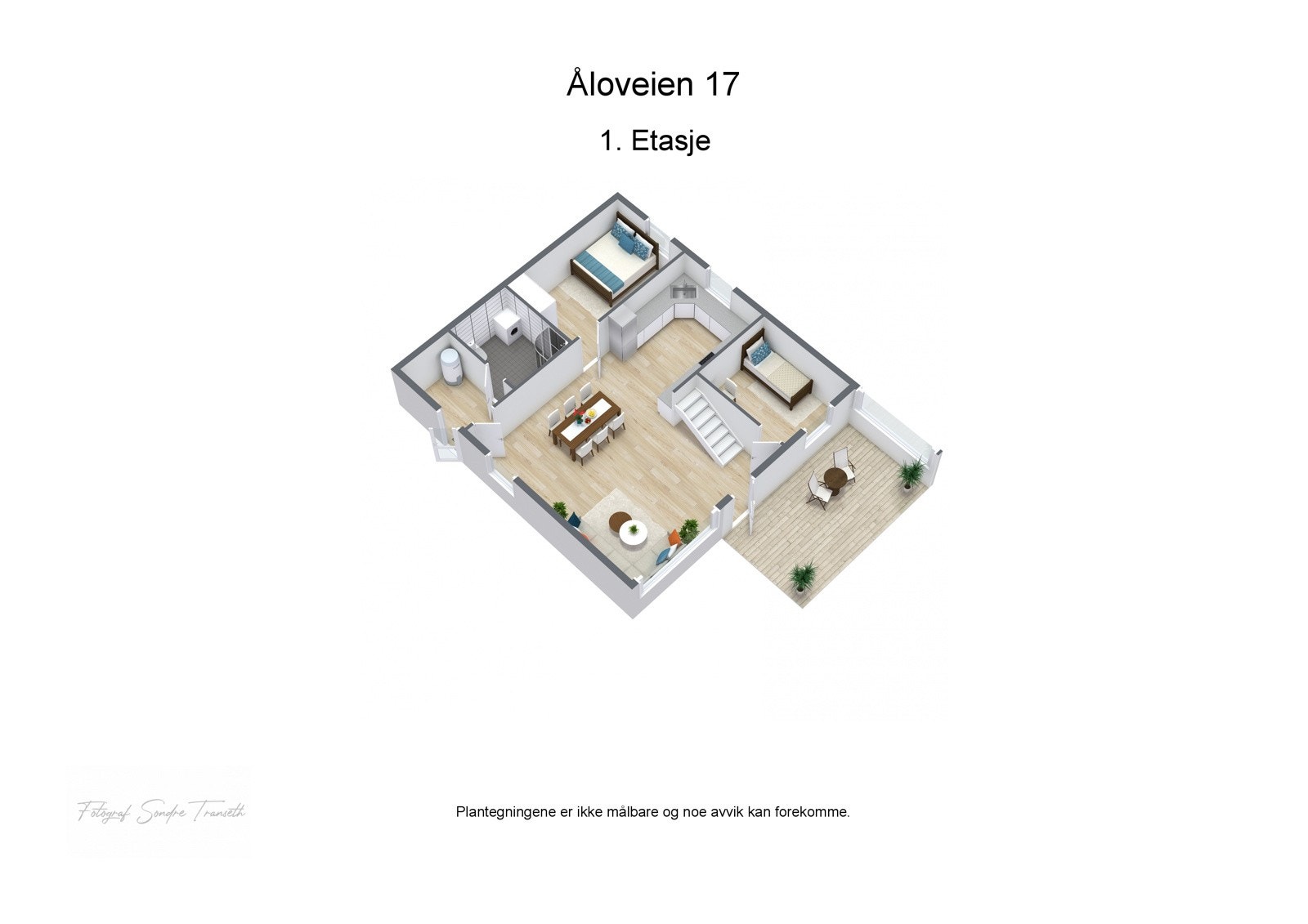 3D plantegning 1.etg. i hytten - fra fotograf Galleribilde