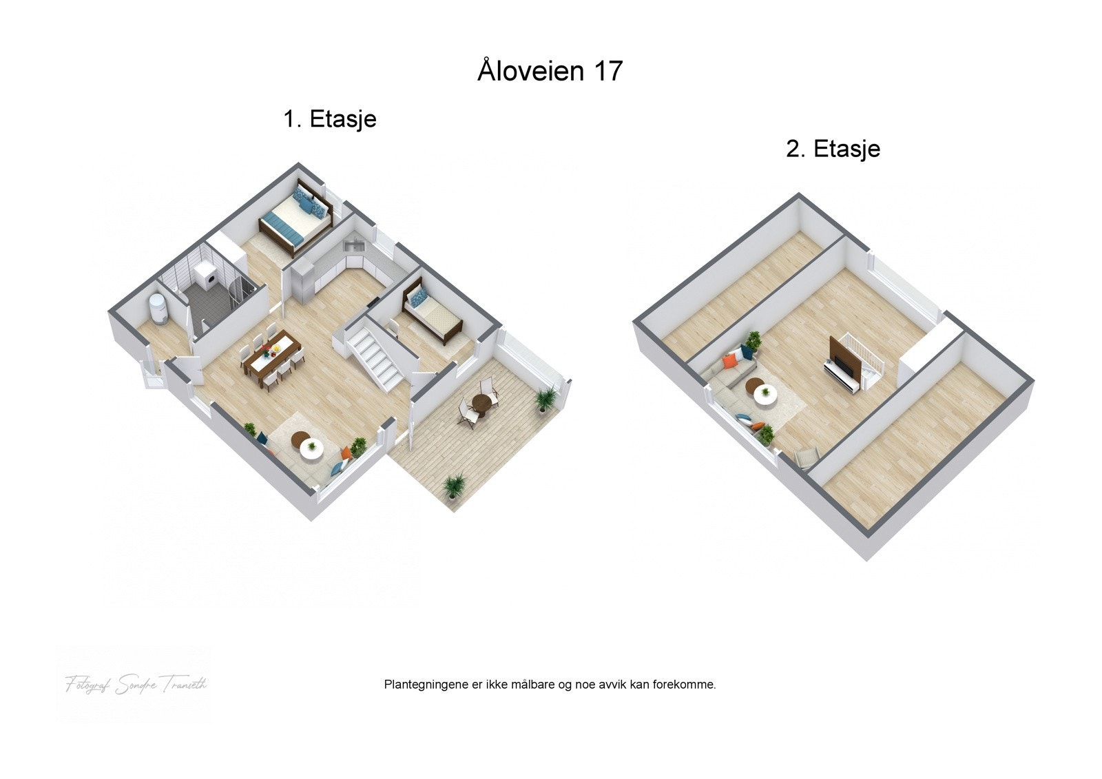 3D plantegninger fra fotograf Galleribilde