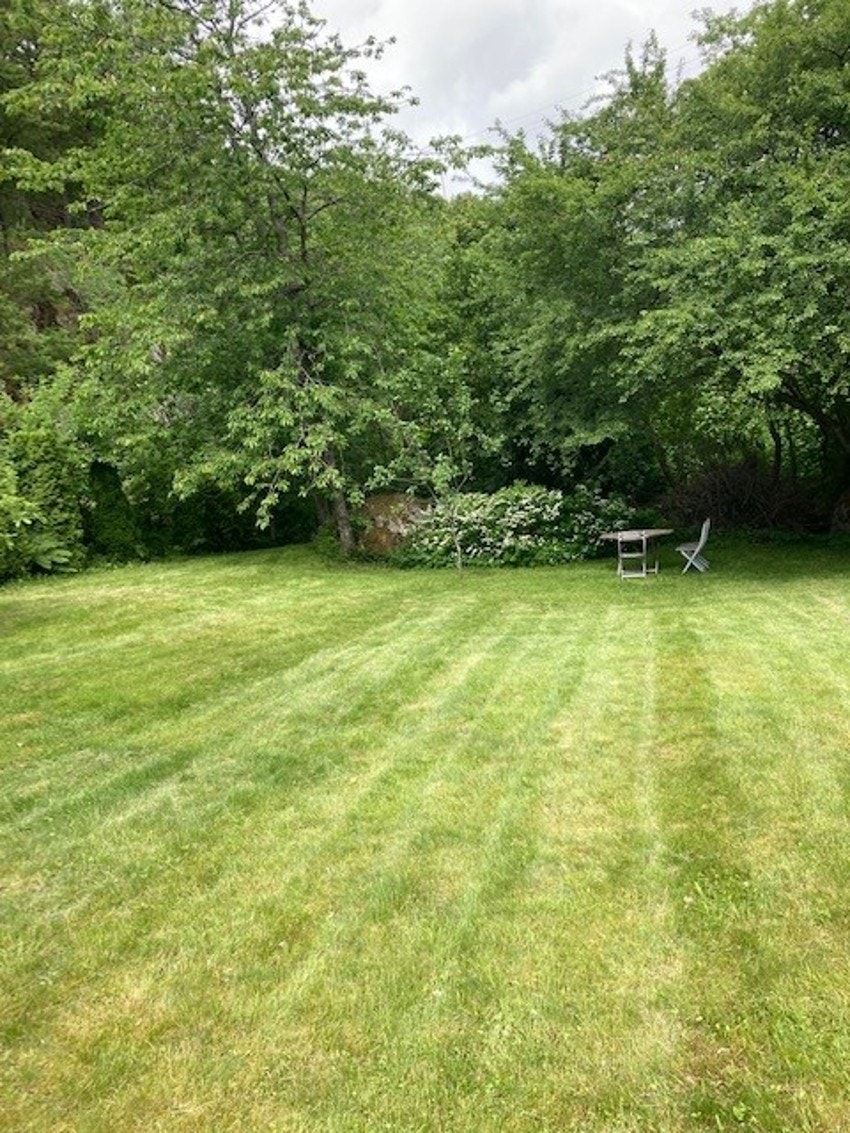 Hagebilde fra eier Galleribilde