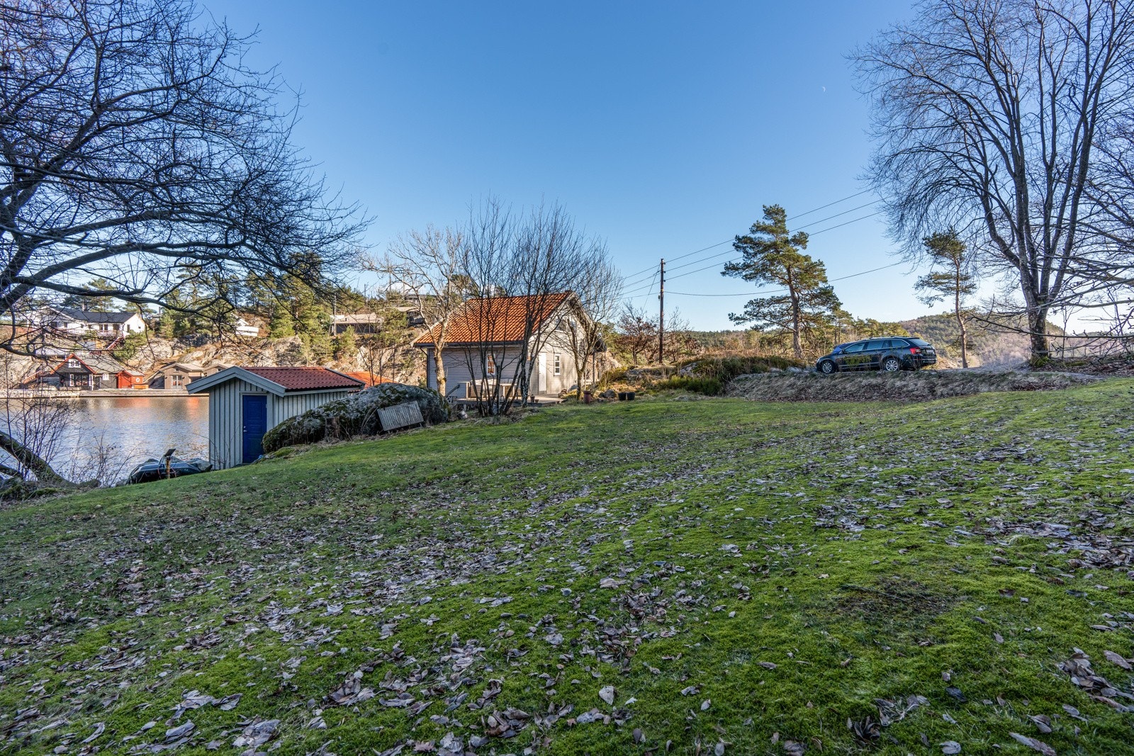 Romslig hage med plen Galleribilde