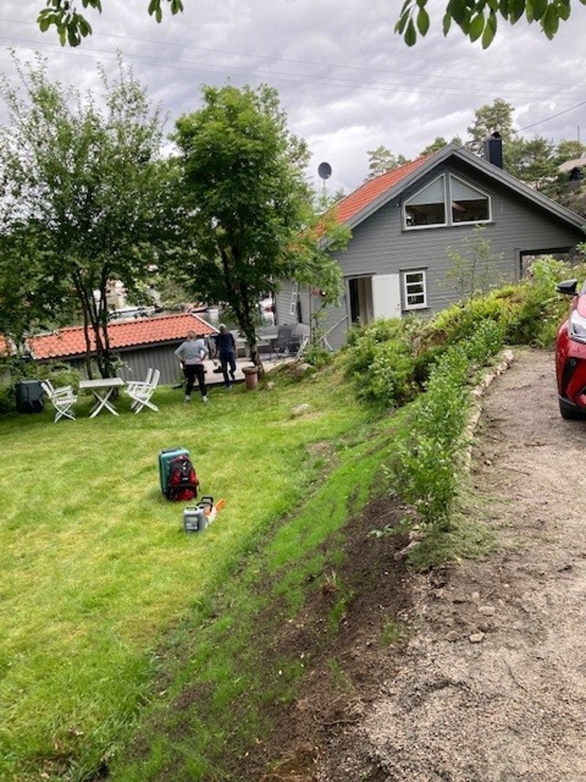 Hagebilde fra eier Galleribilde