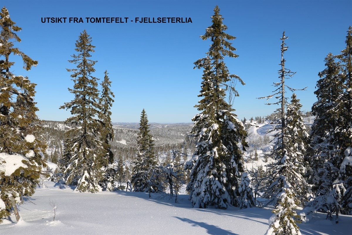 Utsikt fra tomtefelt februar 2018 - Fjellseterlia Galleribilde