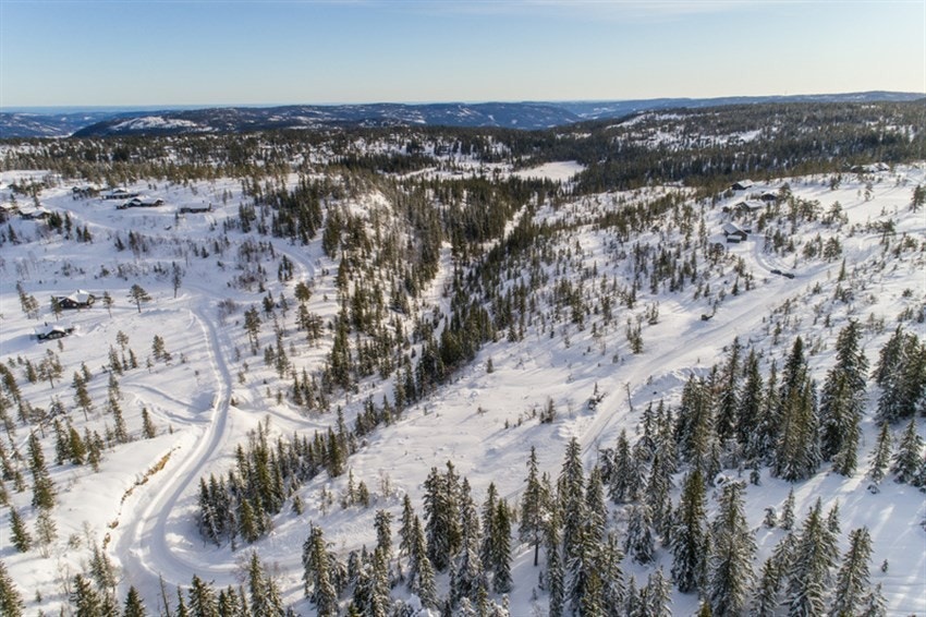 Fjellseterlia - Februar 2019 Galleribilde