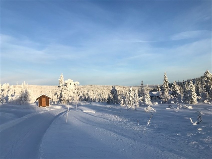 Fjellseterlia Januar 2019 Galleribilde