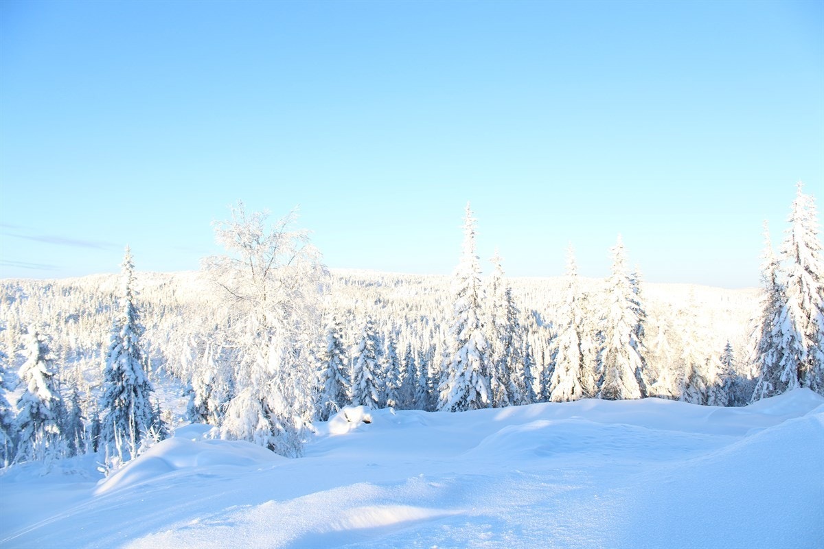 Områdebilde Galleribilde