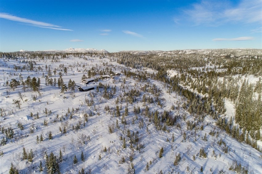 Fjellseterlia - Februar 2019 Galleribilde
