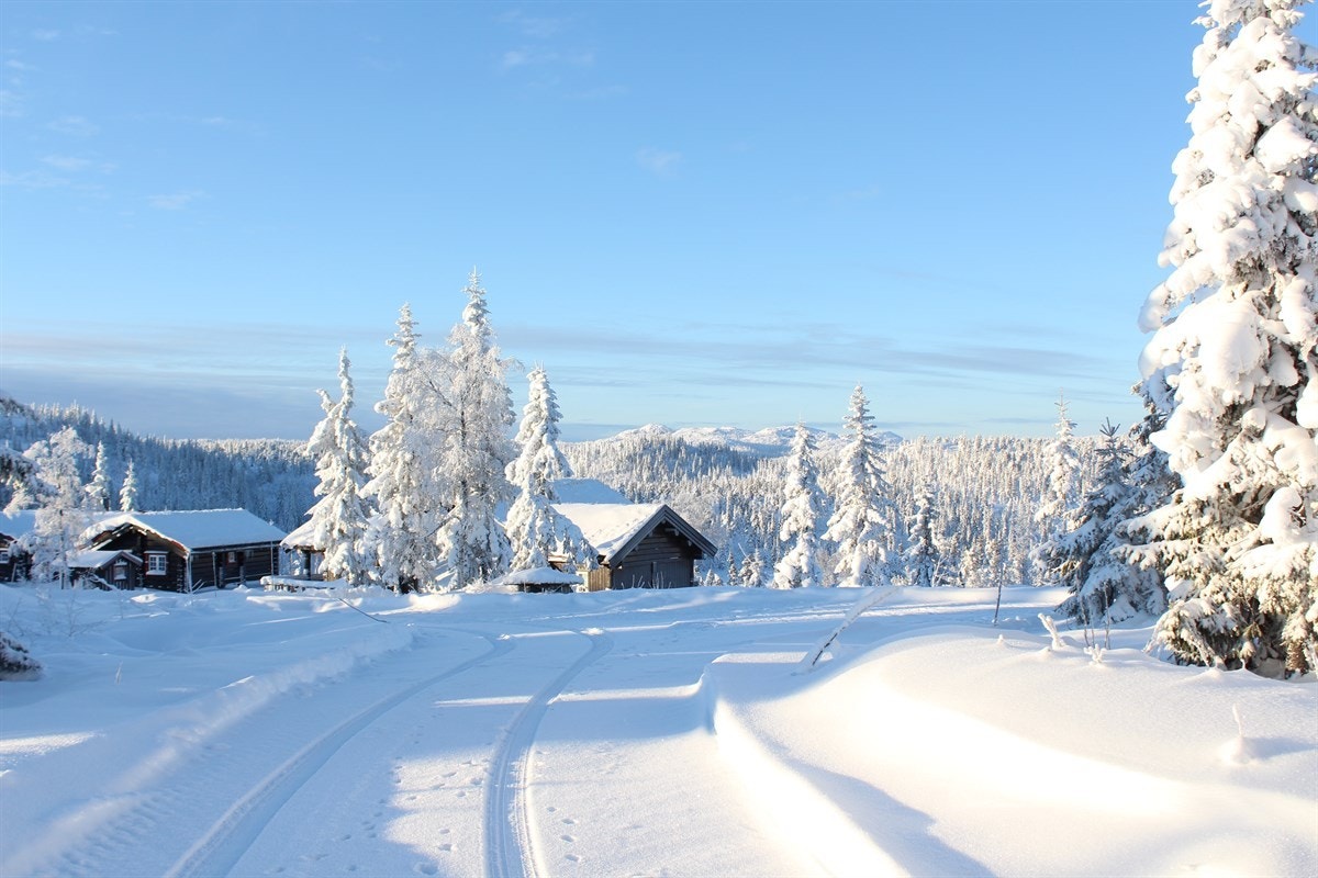 Områdebilde Galleribilde