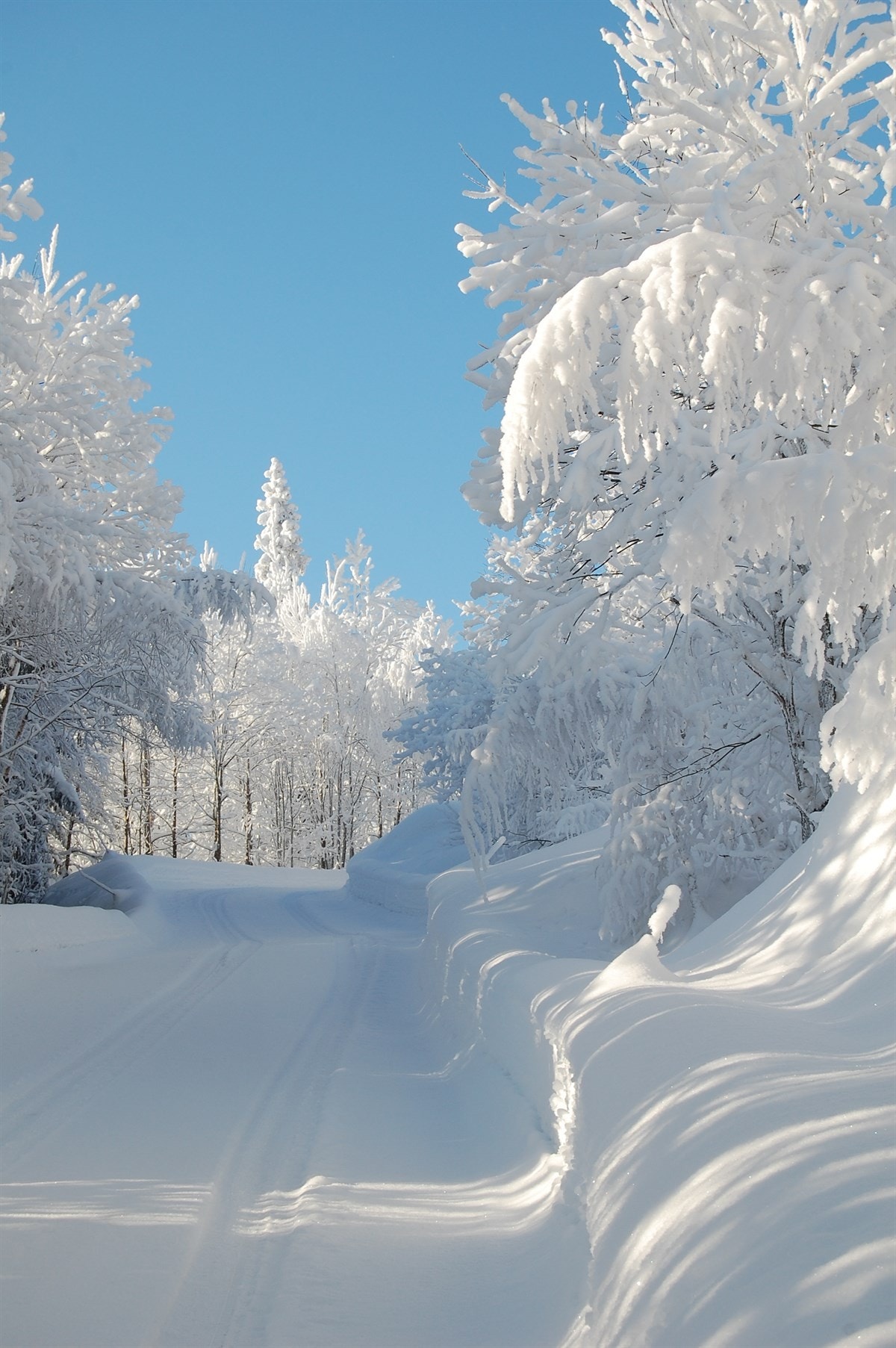 Områdebilde - Stølevei i snø og sol 2012 Galleribilde