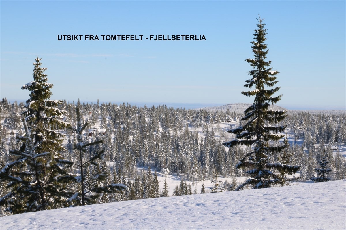 Utsikt fra tomtefelt februar 2018 - Fjellseterlia Galleribilde