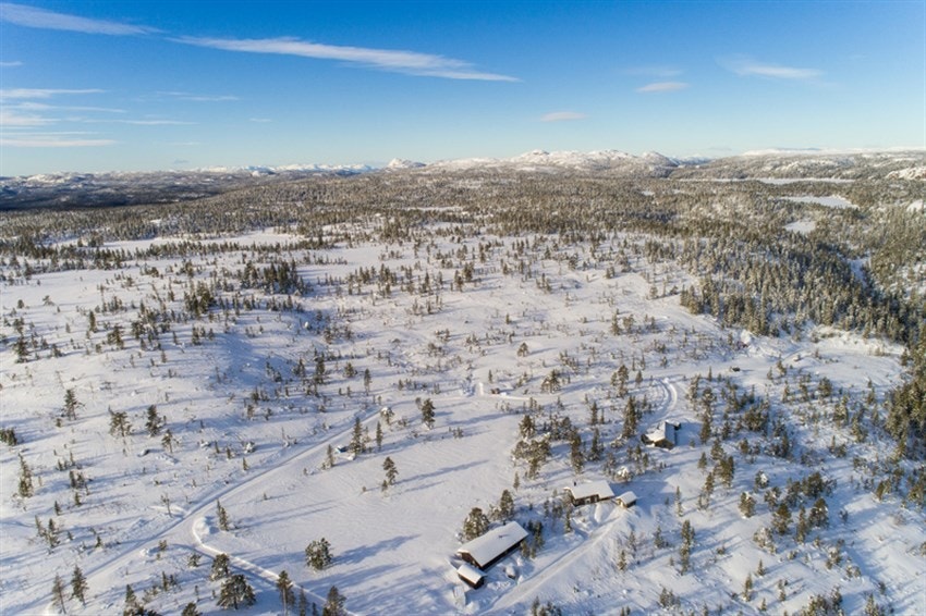 Fjellseterlia - Februar 2019 Galleribilde