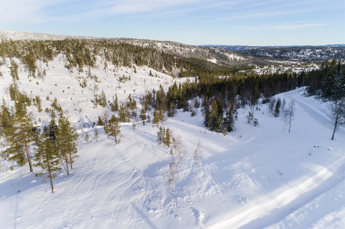 Fjellseterlia - Februar 2019 Galleribilde