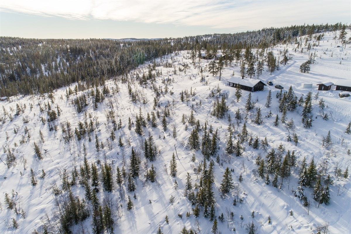 Fjellseterlia - Februar 2019 Galleribilde