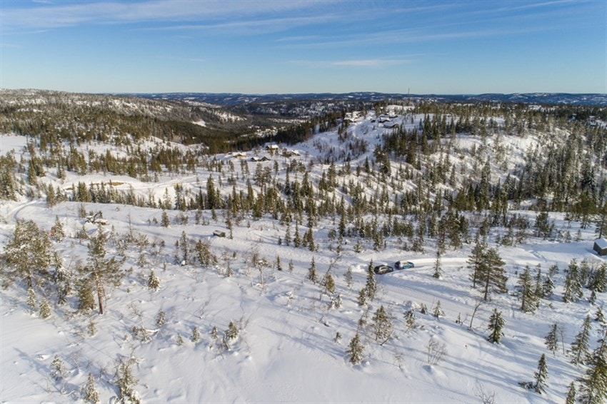 Fjellseterlia - Februar 2019 Galleribilde
