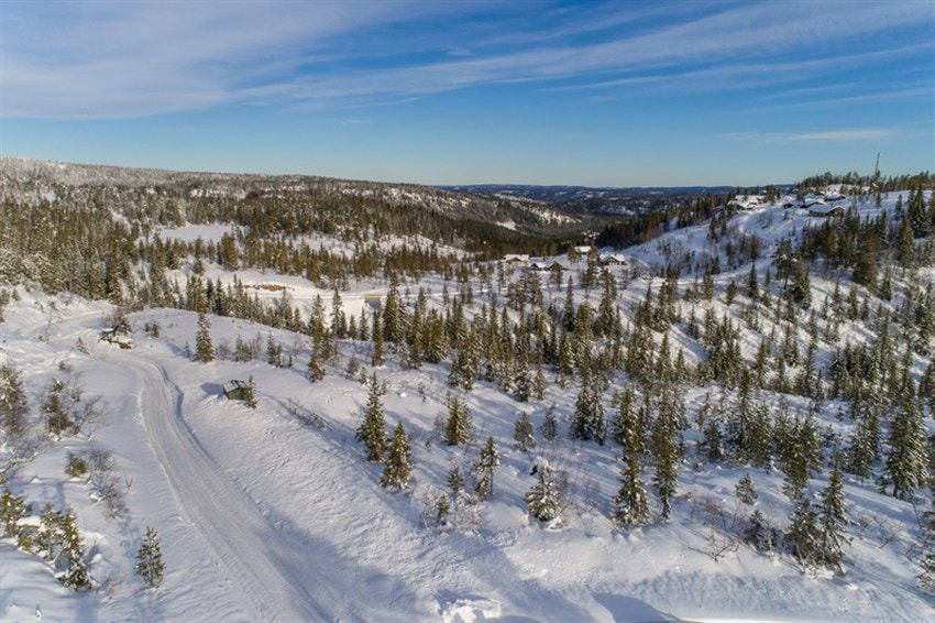 Fjellseterlia - Februar 2019 Galleribilde