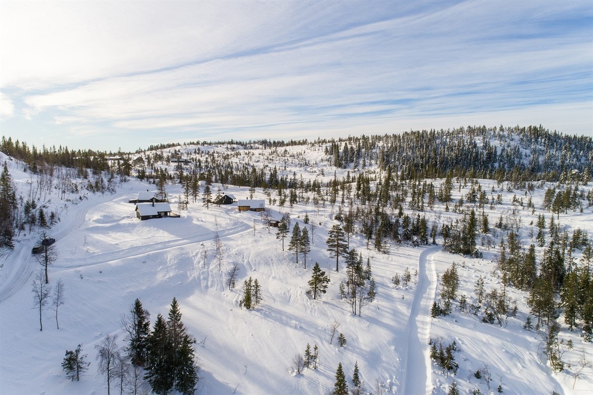 Fjellseterlia - Februar 2019 Galleribilde