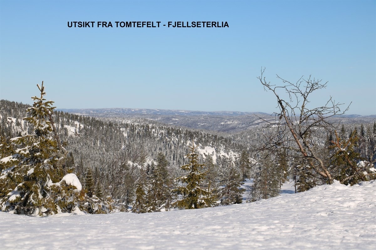 Utsikt fra tomtefelt februar 2018 - Fjellseterlia Galleribilde