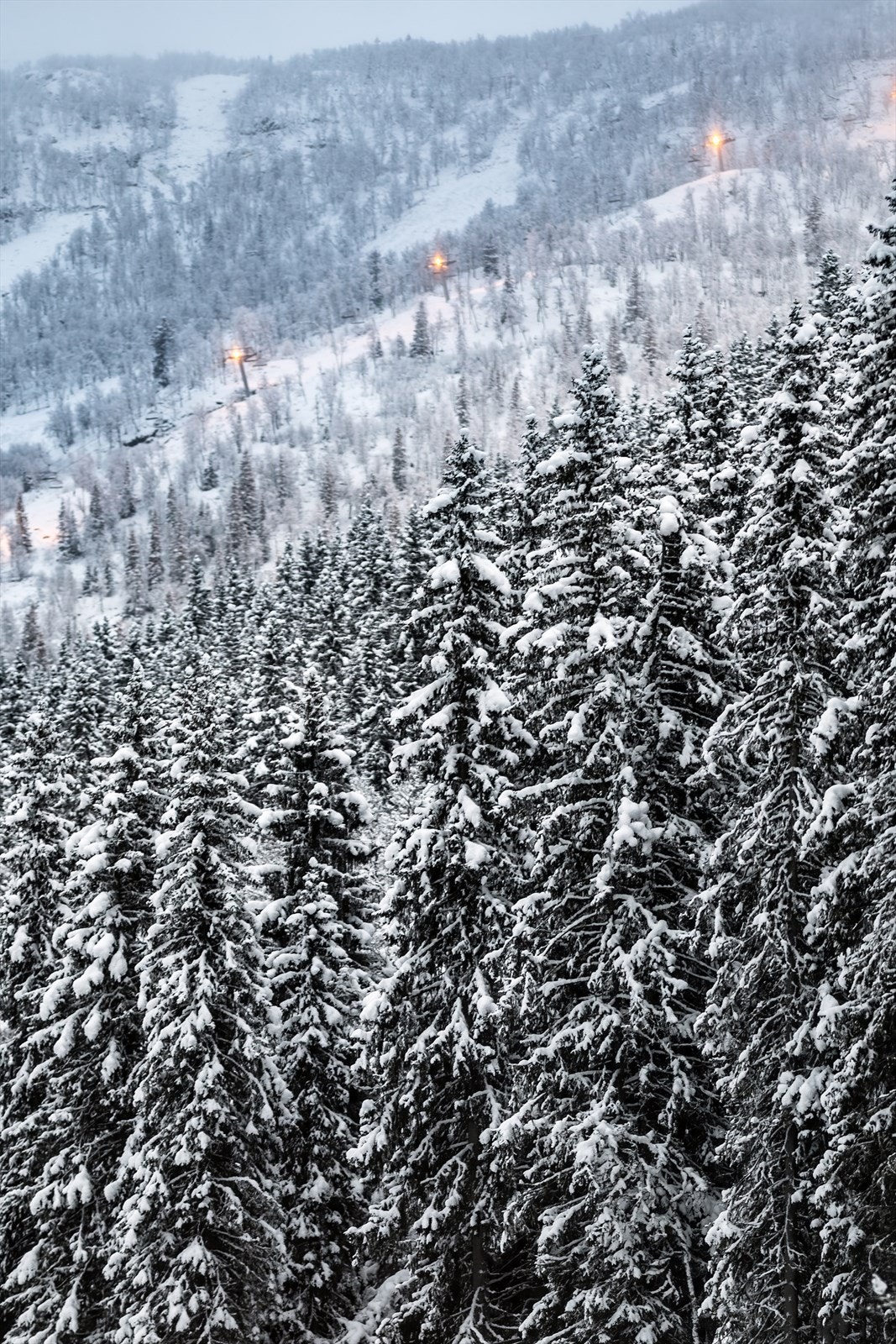 Vinterstemning fra skisenteret. Galleribilde
