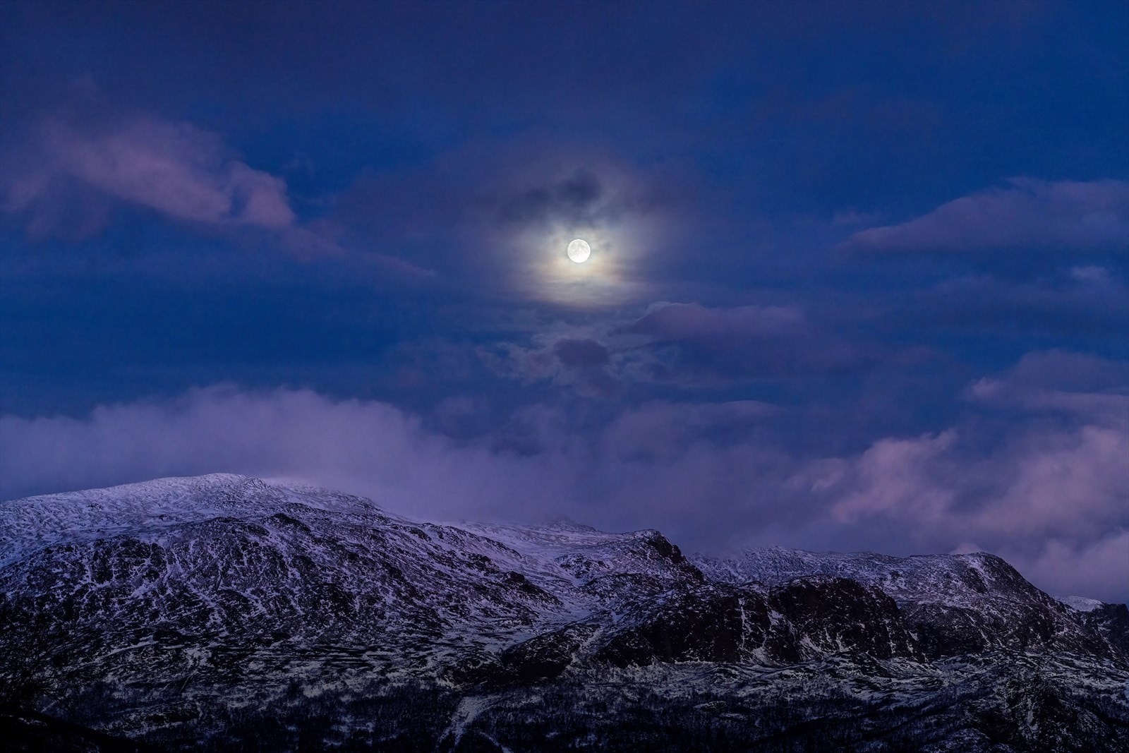 Blåtimen. Galleribilde