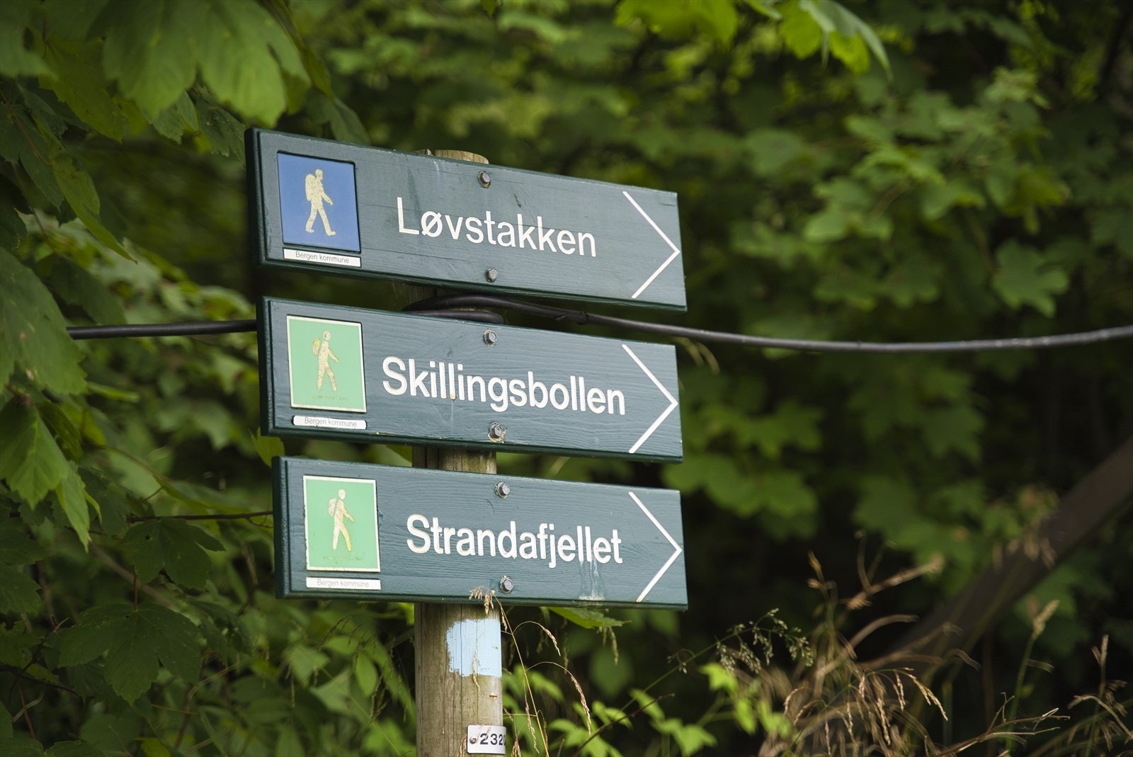 Svært gode turmuligheter like utenfor døren Galleribilde