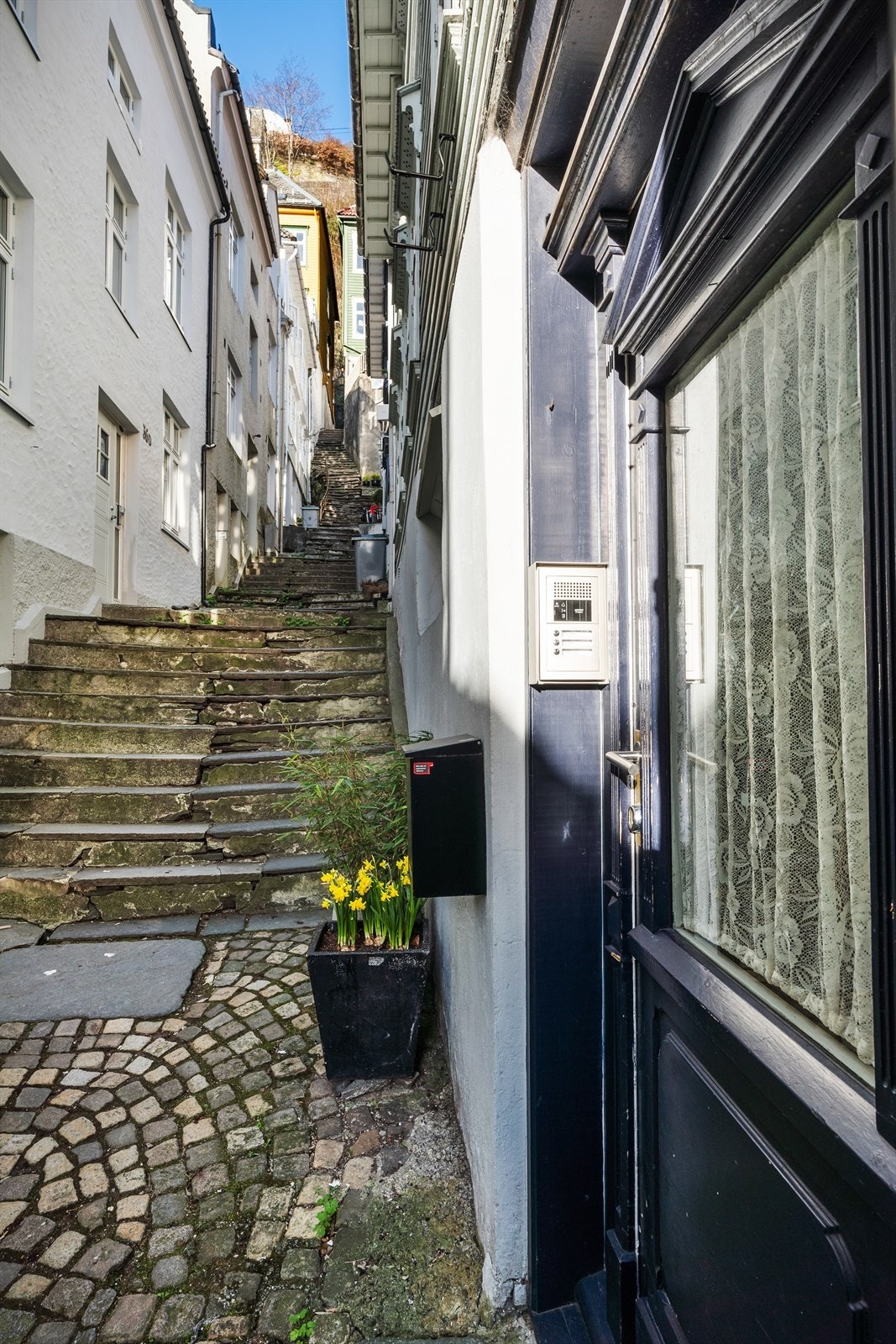 - Krogsveen - Galleribilde