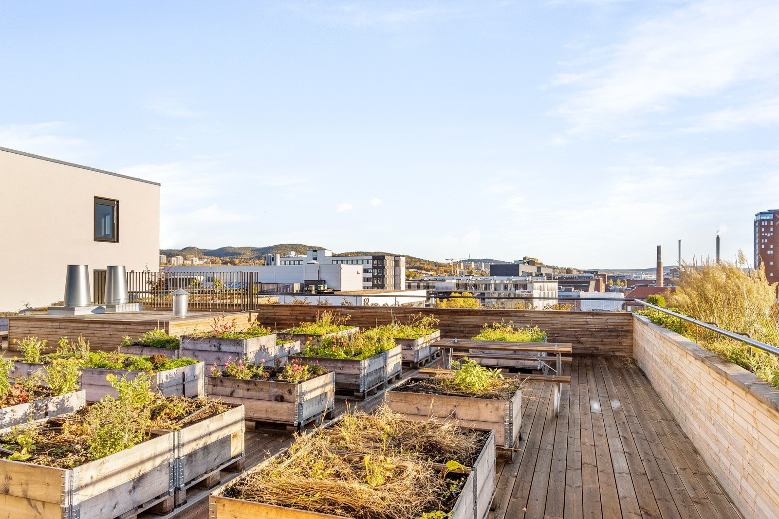 På takterrassene er det fordelt rikelig med pallekarmer som er tiltenkt driftet av borettslagets andelseiere. Galleribilde