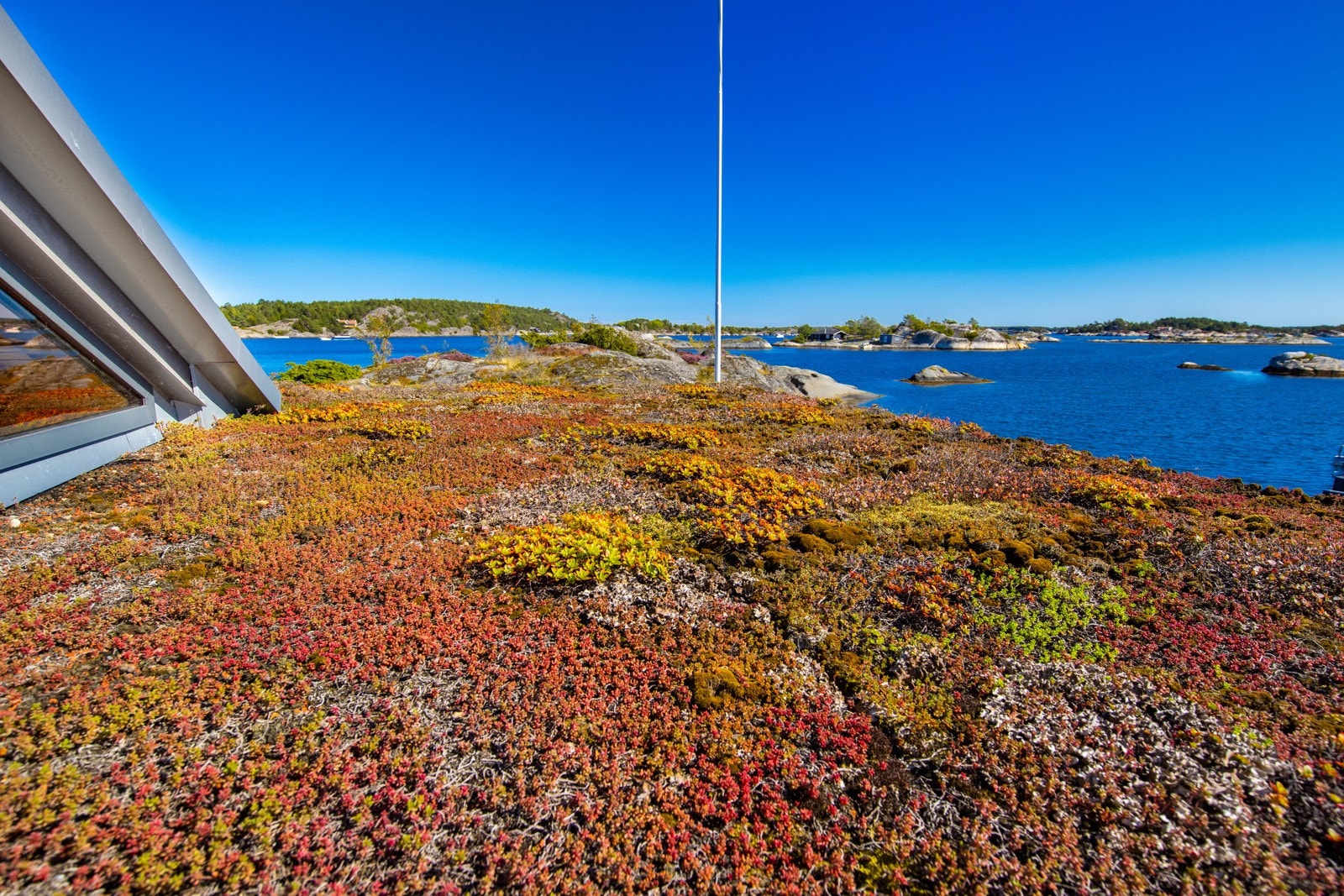 På taket ligger det sedum-vegetasjon, utover sommeren blir plantene vakkert rødgrønne. Galleribilde