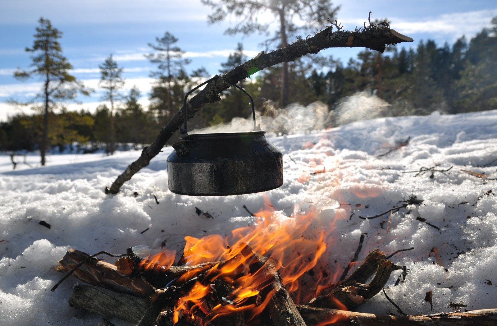 Kafferast 500 m syd av Velenvann. Foto fra Svanstul Utvikling AS Galleribilde