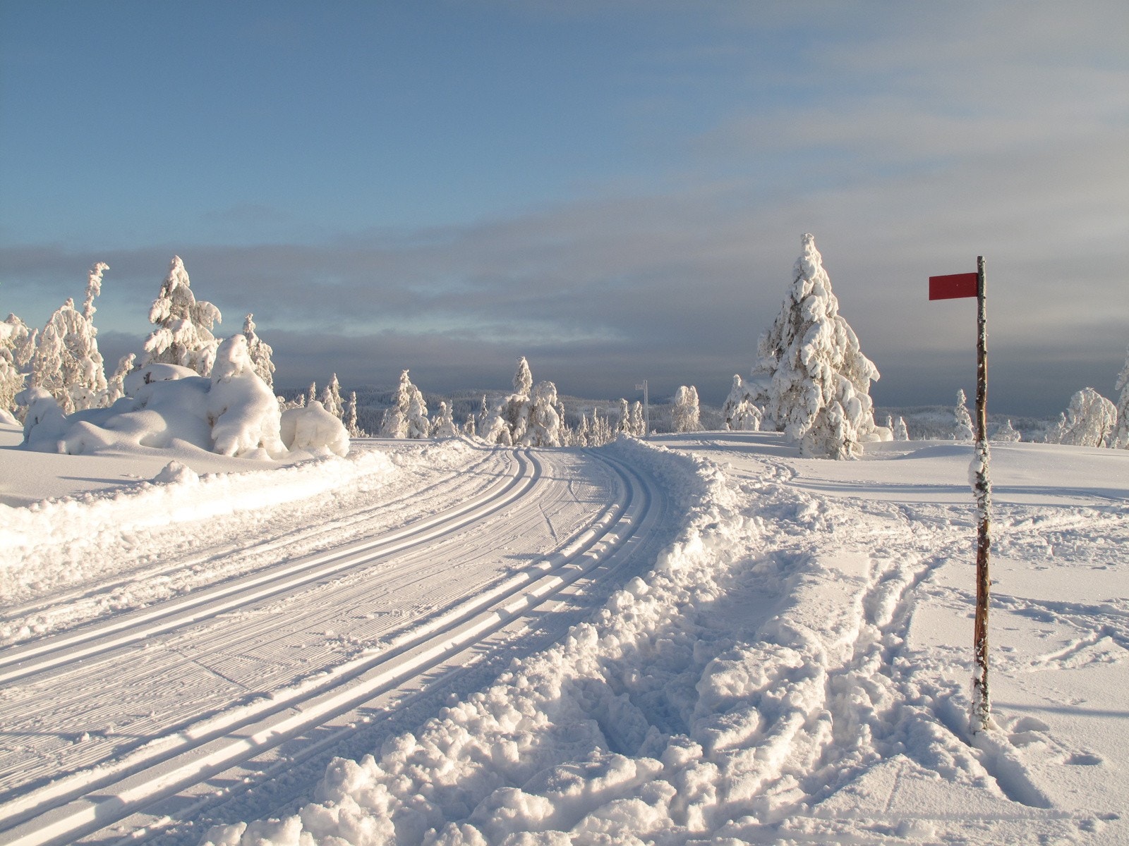Skiløyper. Foto fra Svanstul Utvikling AS Galleribilde