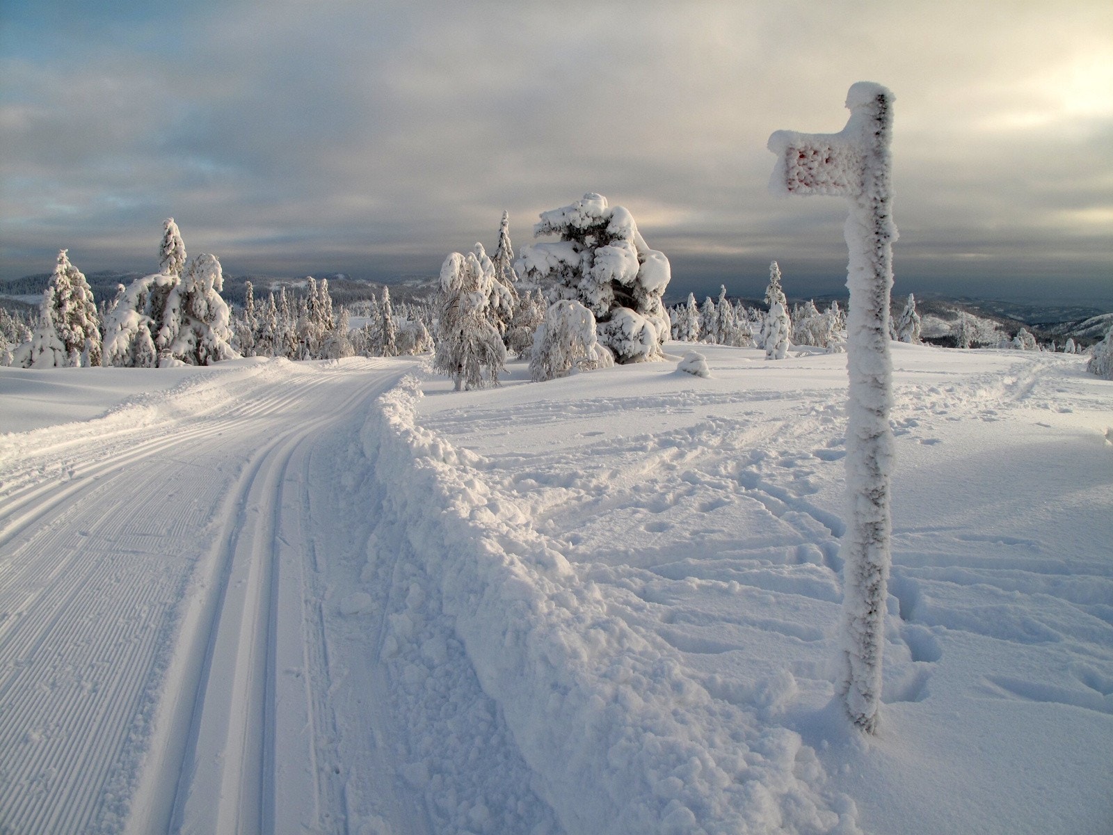 Skiløyper. Foto fra Svanstul Utvikling AS Galleribilde