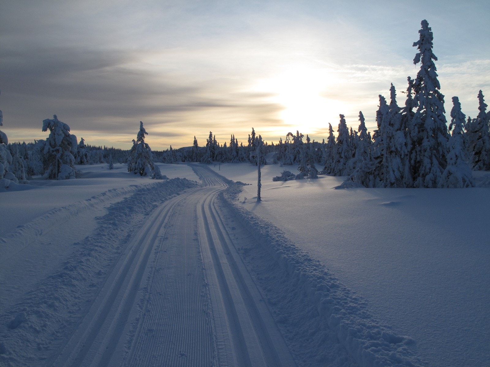 Skiløyper. Foto fra Svanstul Utvikling AS Galleribilde
