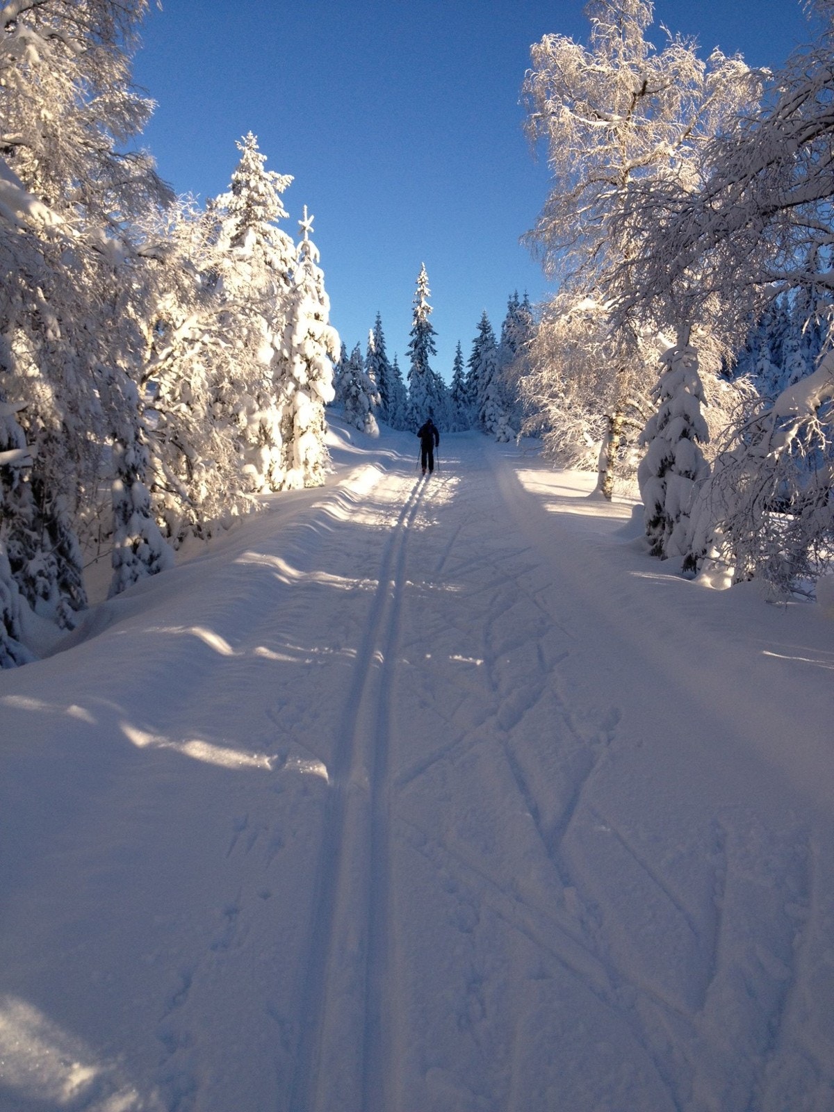 Skiløyper. Foto fra Svanstul Utvikling AS Galleribilde