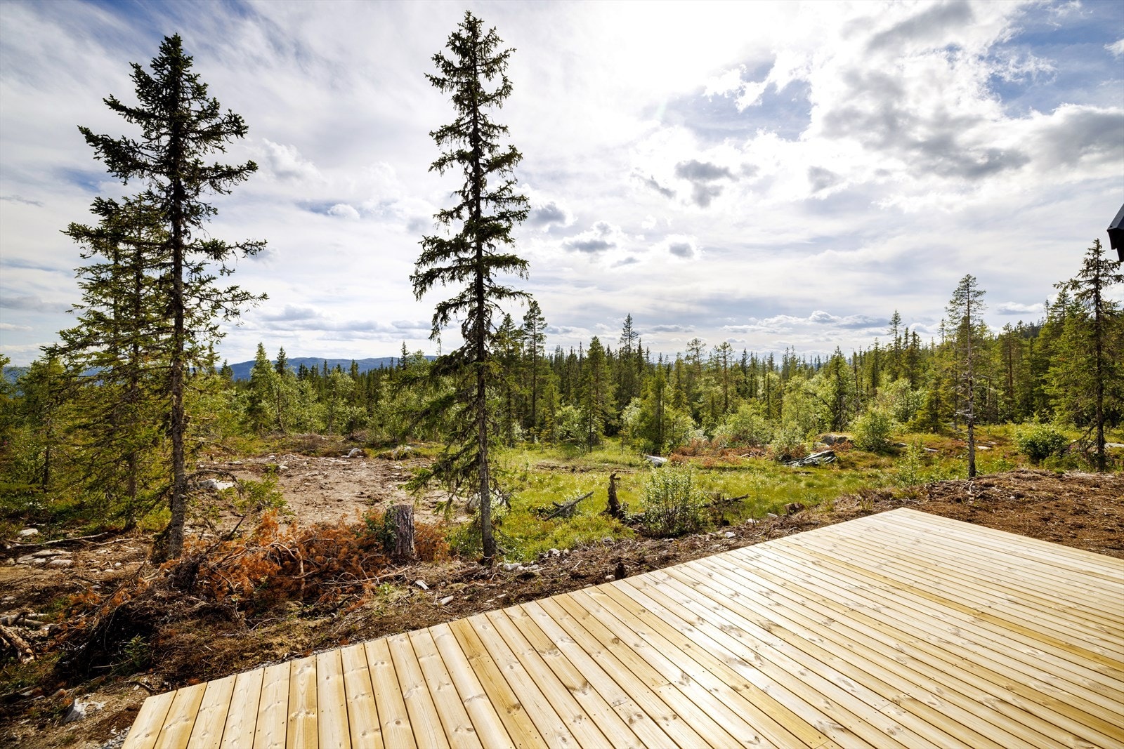 Terrasse Galleribilde