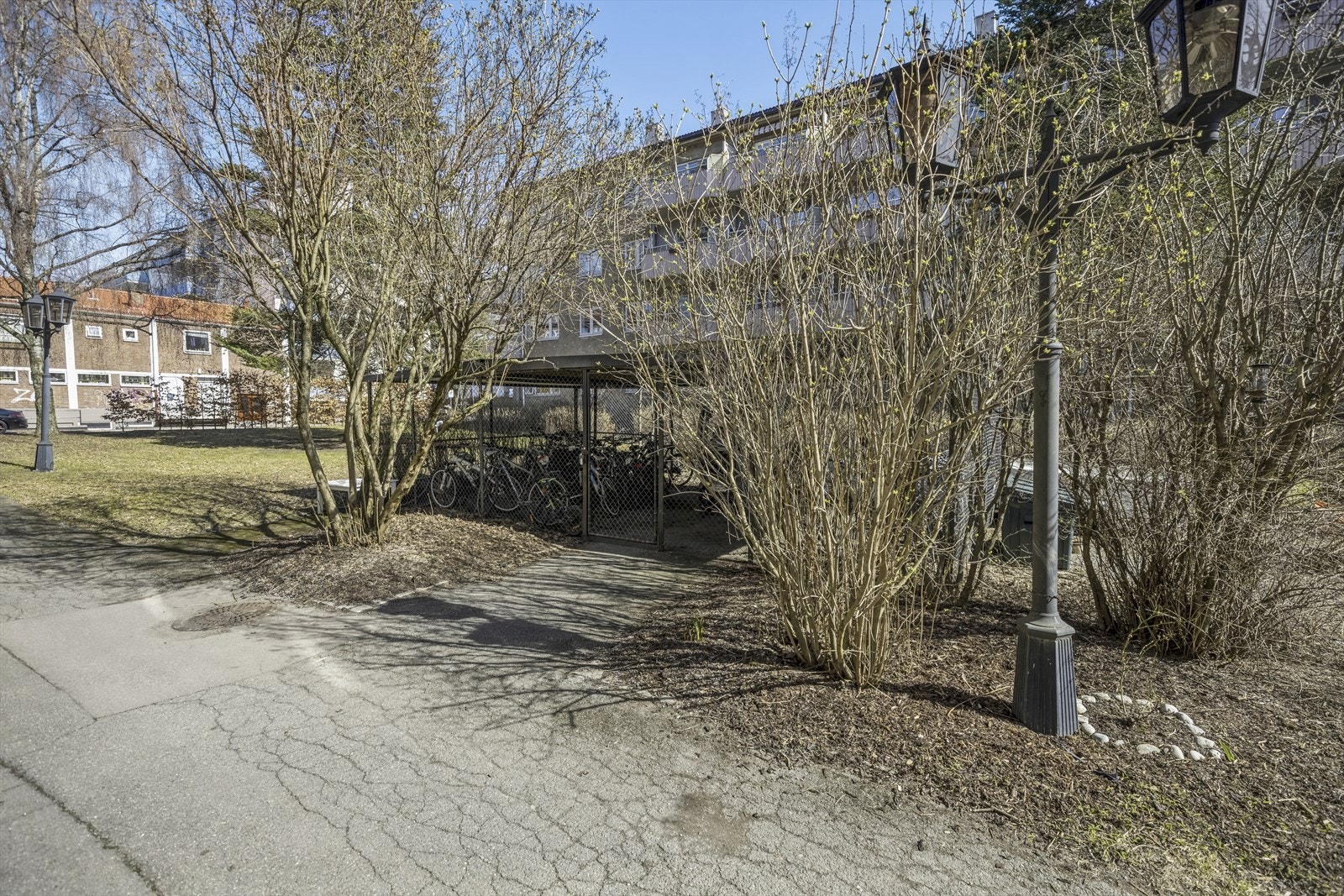 Sykkelbod ute på fellesarealene. Galleribilde