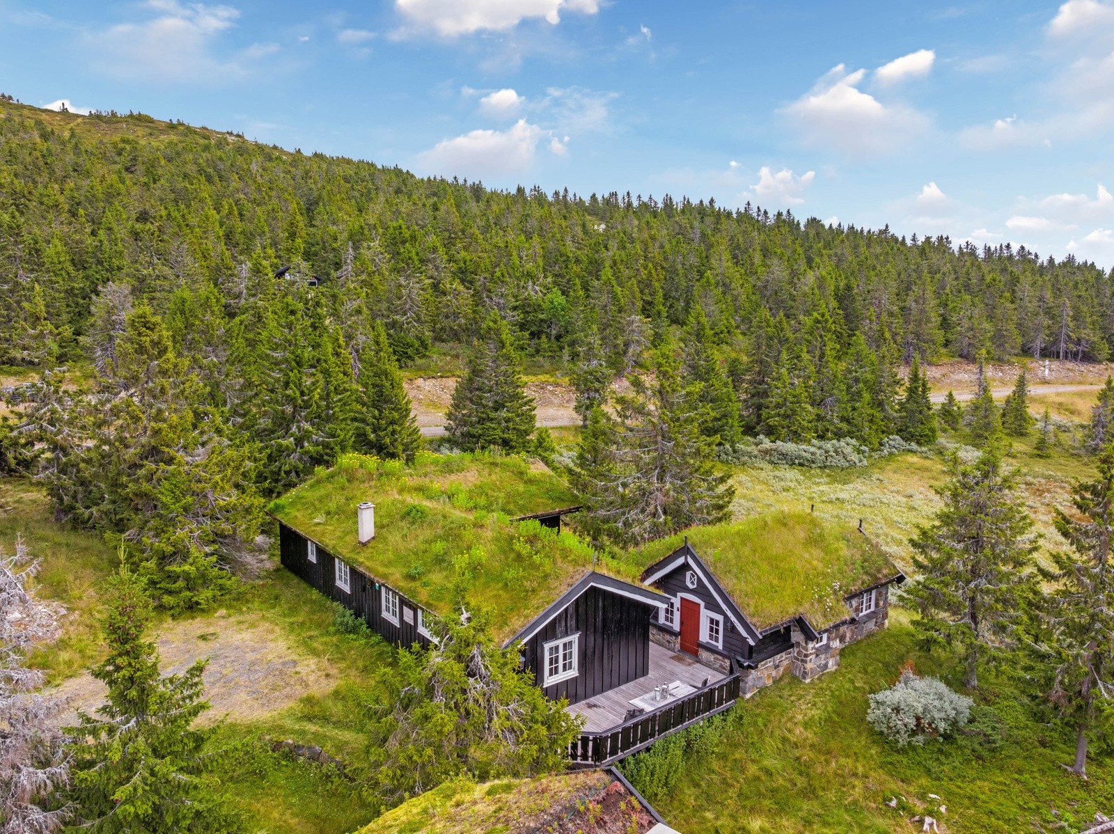 Taket er tekket med gress. Galleribilde