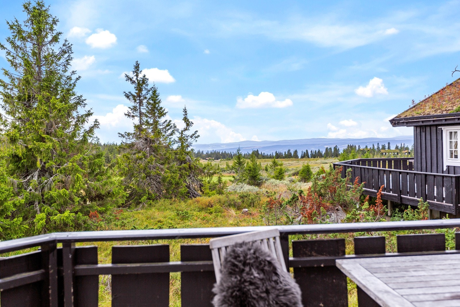Hytta ligger skjermet til uten innsyn. Galleribilde