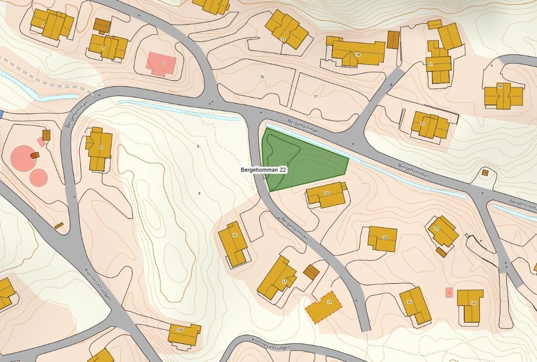 Bergehomman 22 på Kvernavatn Aust Galleribilde