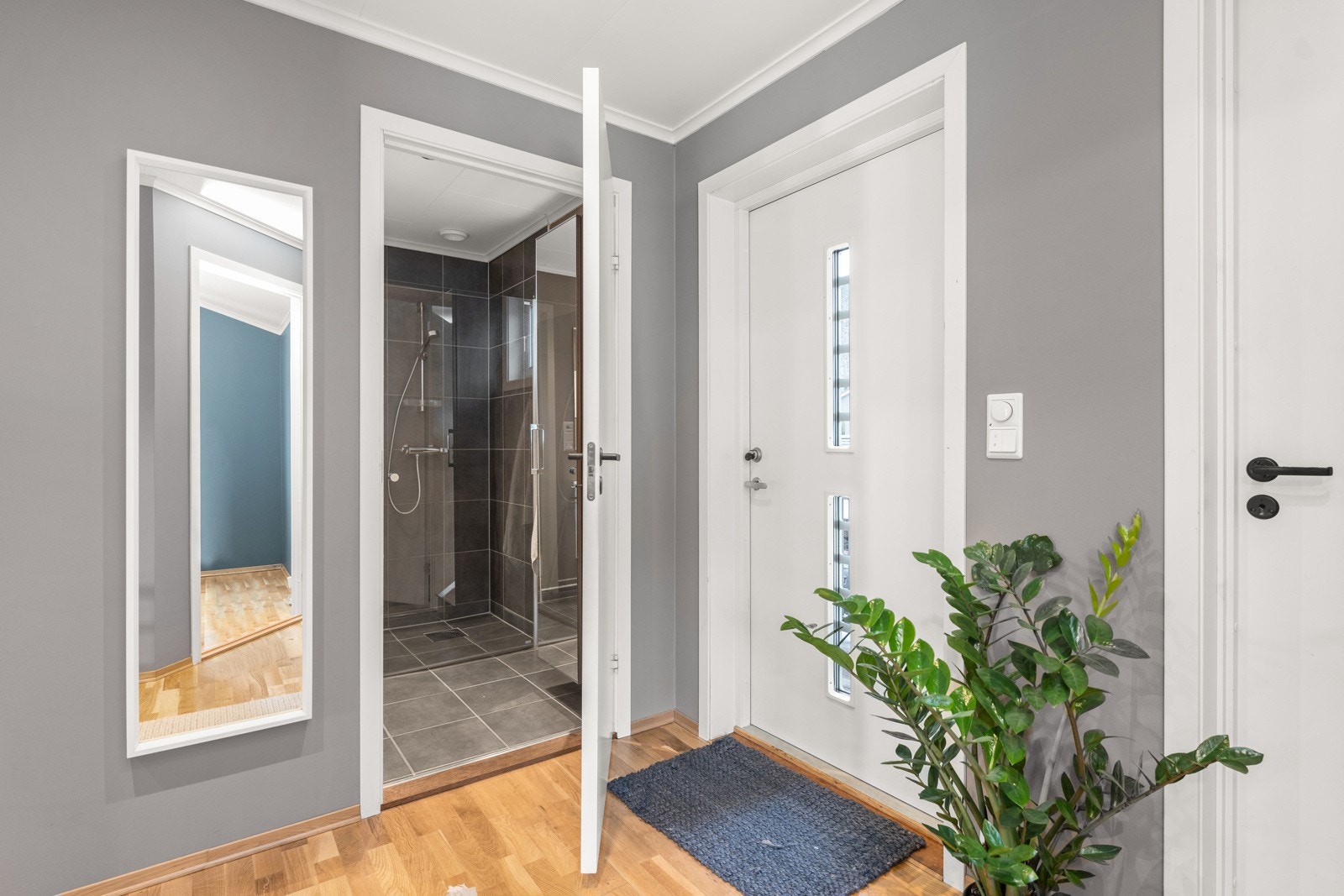 4892481_1-mwyfnb1.jpg Galleribilde