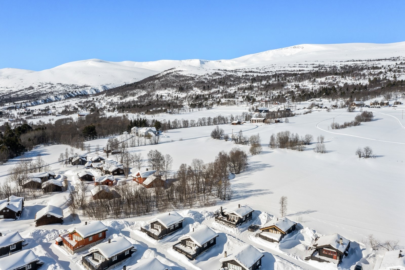 Den beste beliggenheten på hele Breesgården? Galleribilde