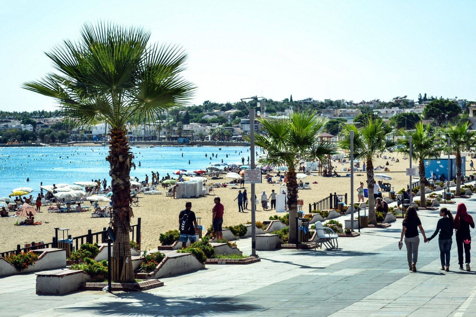 Vakre Didim Galleribilde