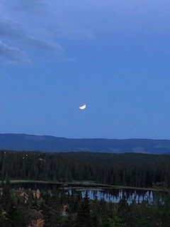 Det er utrolig flott utsikt fra denne eiendommen. Her et blinkskudd fra selger. Galleribilde