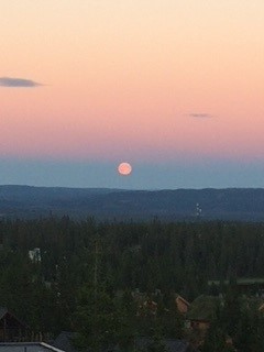 En nydelig stemningsbilde fra selgers eget arkiv. Galleribilde