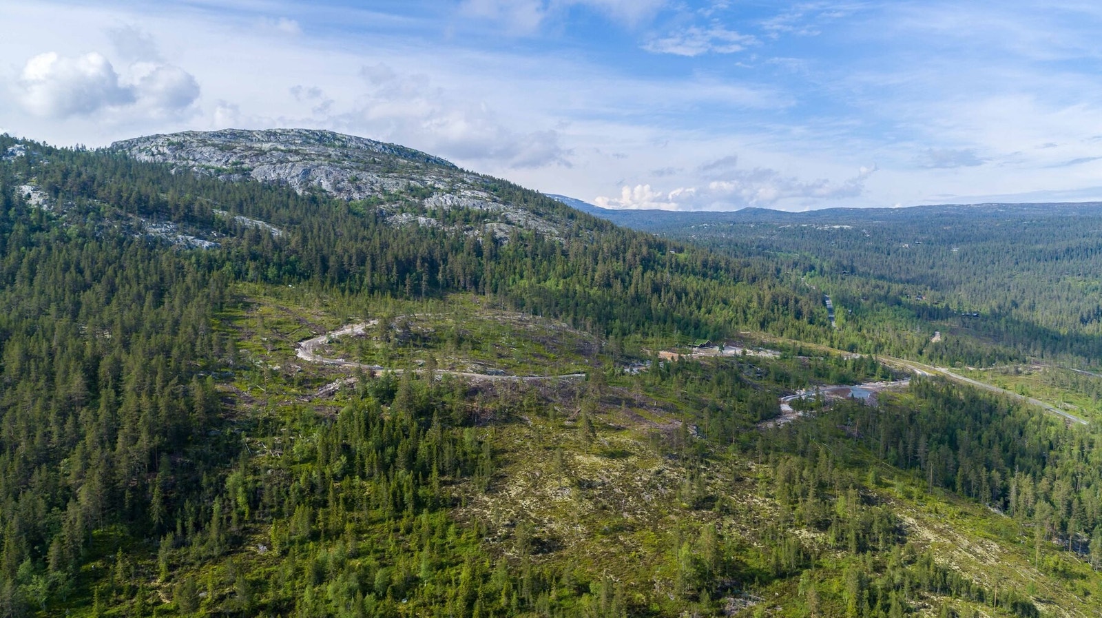 Dronefoto over tomteområdet Galleribilde
