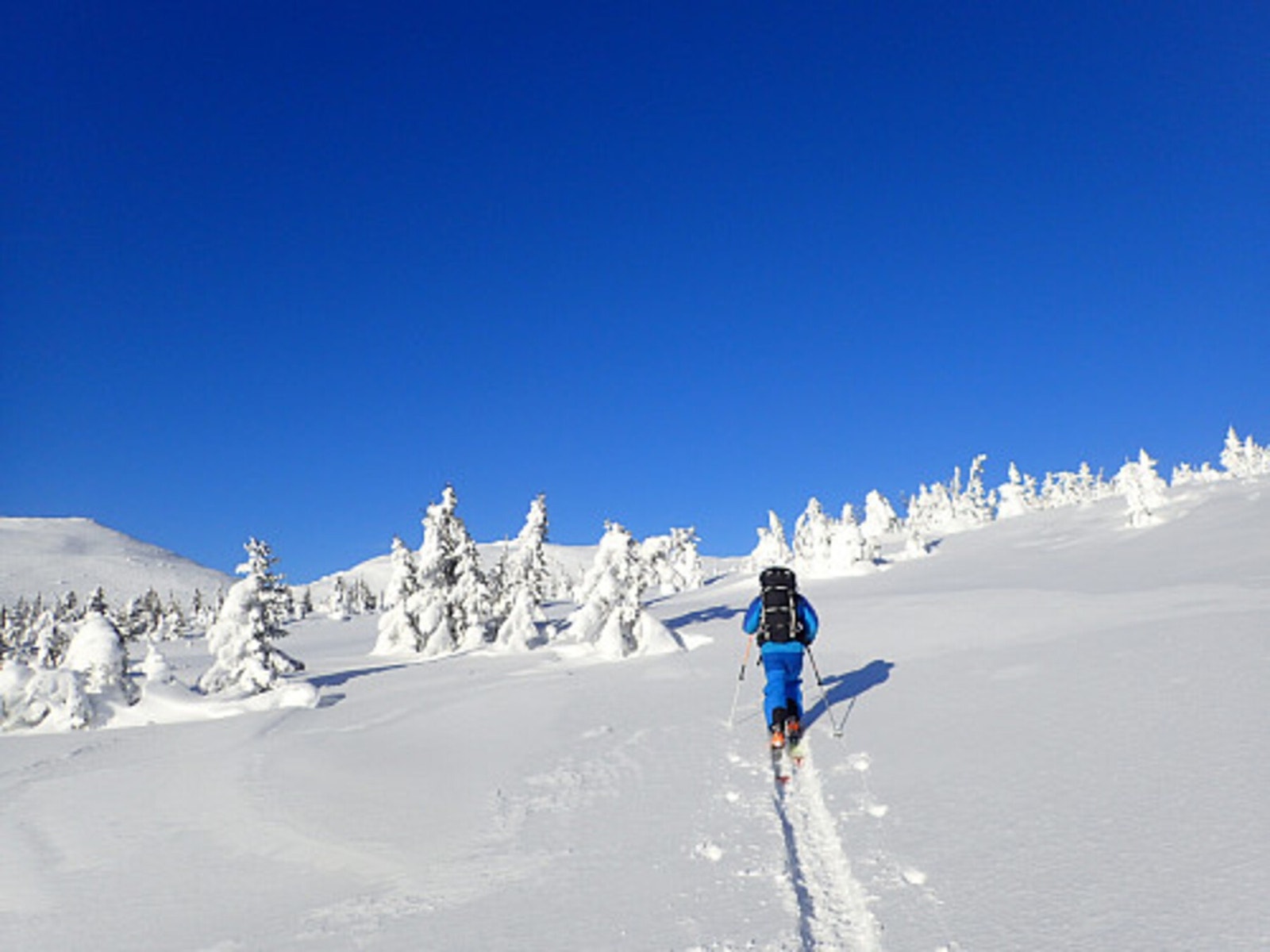 På vei opp til Surløytenuten, en fin rando-tur i nærheten, 1087 moh Galleribilde