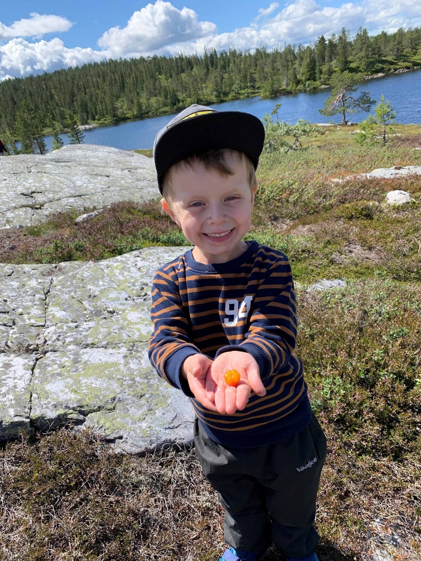 En liten molteplukker Galleribilde