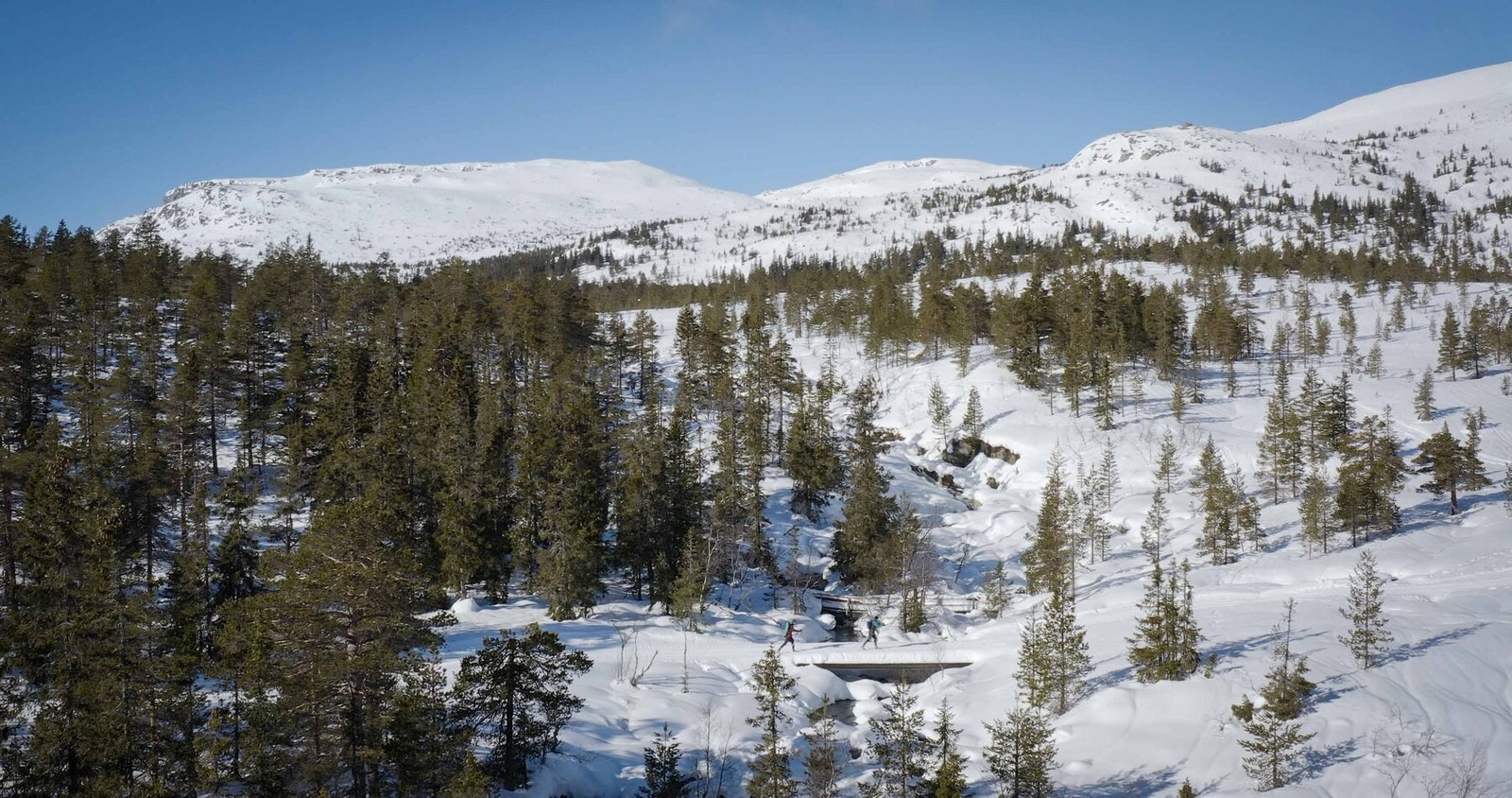 Dronefoto fra området Galleribilde