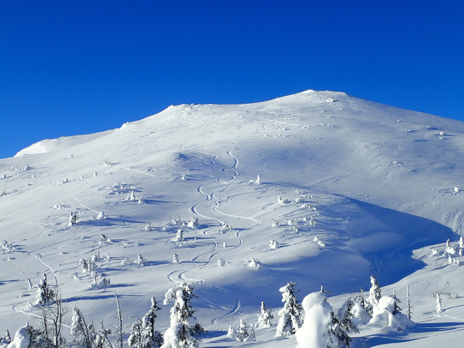 Mot Surløytenuten Galleribilde