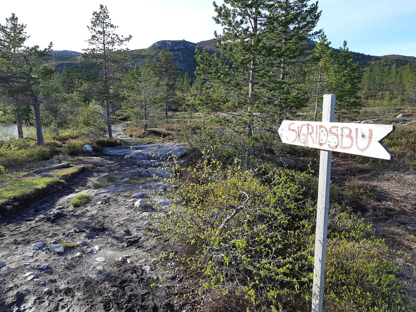 Fin merket tur til Sigridsbu, DNT hytte som ligger ca 1175 moh i nydelige omgivelser Galleribilde